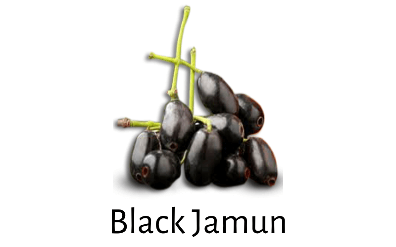 Eugenia Jambolana (Black Jamun) for Diabetes