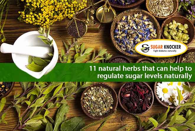 11 Natural Herbs that Can Help to Regulate Sugar Levels Naturally