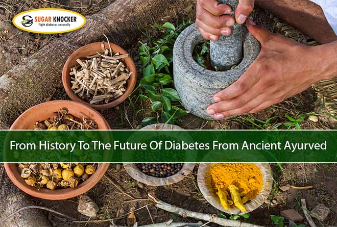From History To The Future Of Diabetes From Ancient Ayurved