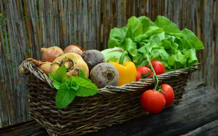 right vegetables for type 2 diabetes