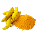 Curcuma Longa Turmeric (Curcuma longa) root, an herb for diabetes