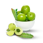 Amla (Emblica officinalis), Indian gooseberry, for blood sugar