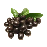 Black jamun (Eugenia jambolana) fruit, an herb for blood sugar