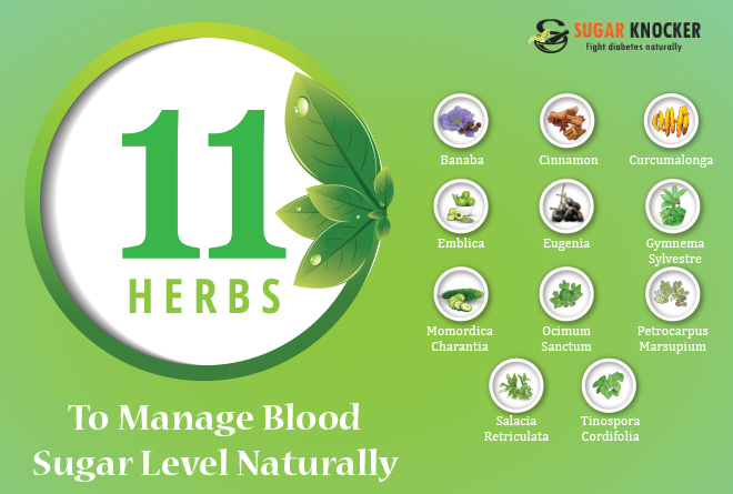 Diabetes: 11 Herbs To Manage Blood Sugar Level Naturally