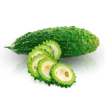 Bitter melon (Momordica charantia), one of the herbs to manage blood sugar
