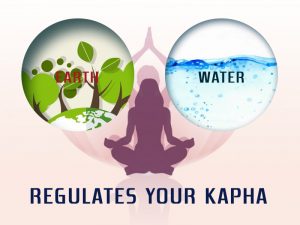 Regulates your Kapha