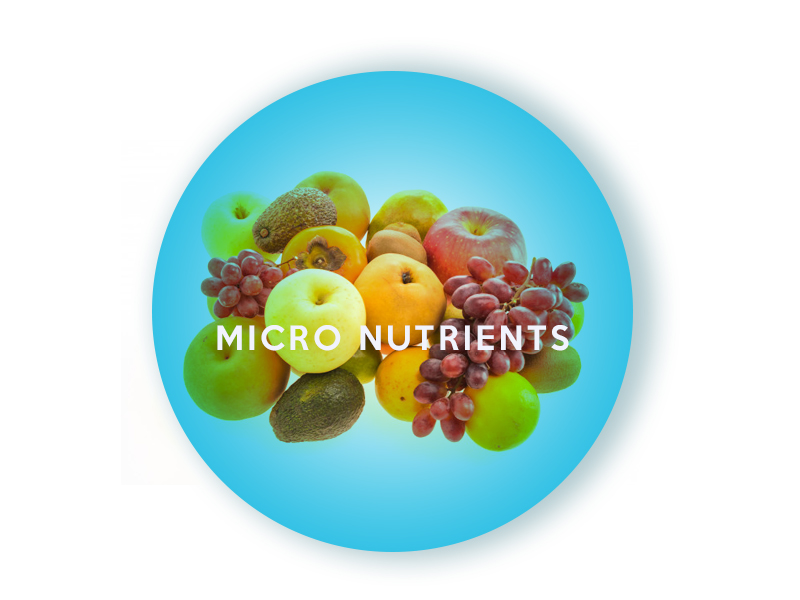 micronutrients can help diabetic and act as a  home remedies for diabetes