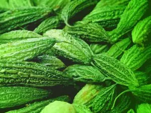 Momordica Charantia (Bitter Gourd)
