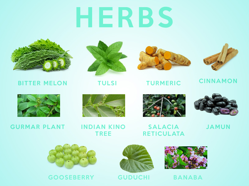 Herbs for Diabetes