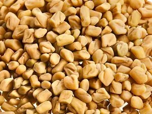 Fenugreek