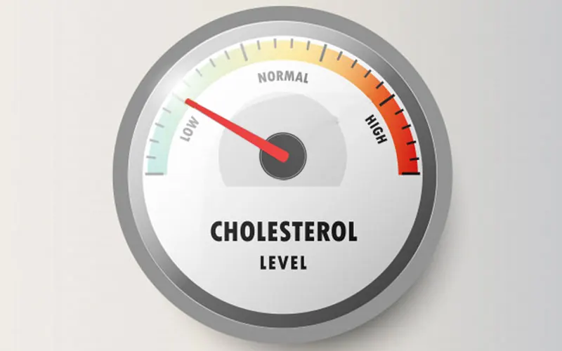Decreased bad cholesterol