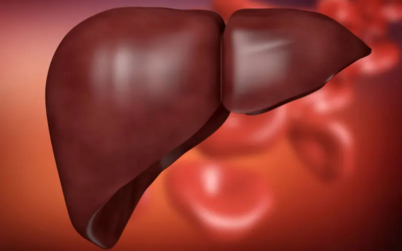 Cleanses your liver