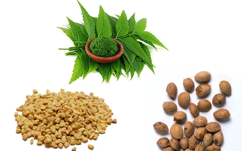 Mix of neem, plum seed and fenugreek used in home remedies