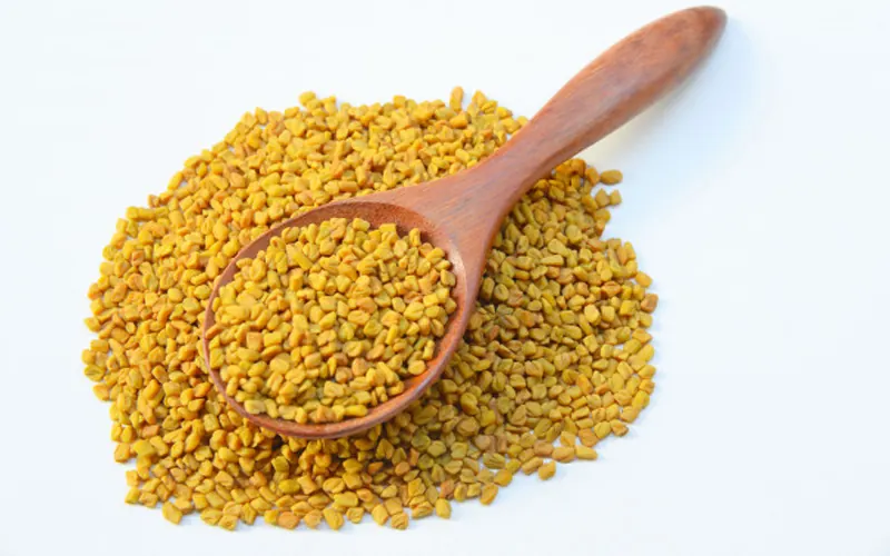 Fenugreek tincture in a small bottle