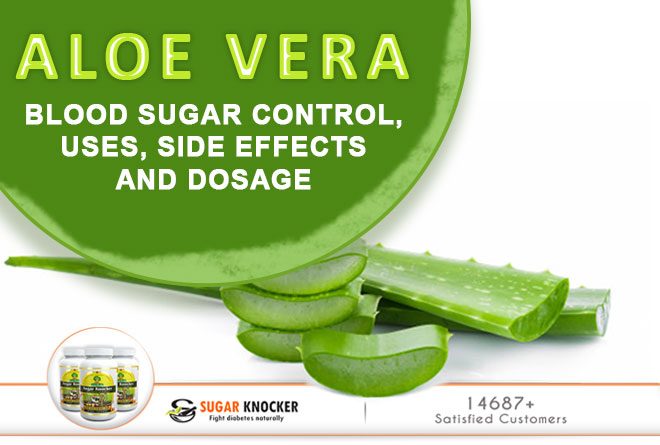 Aloe Vera for Diabetes: Research, Pros, Cons, and More