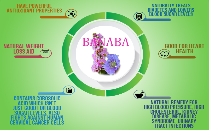 BANABA Herbal Diabetes Supplement 