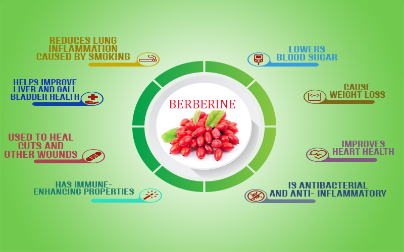 BERBERINE-Herbal Diabetes Supplement 