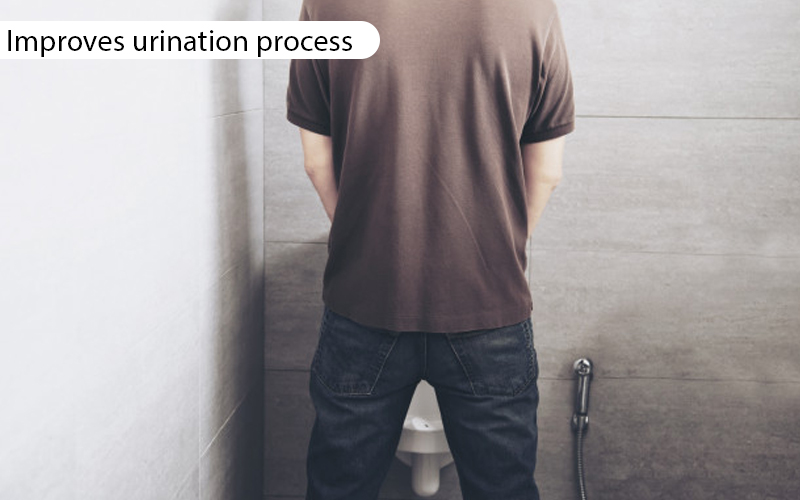 Improves Urination Process
