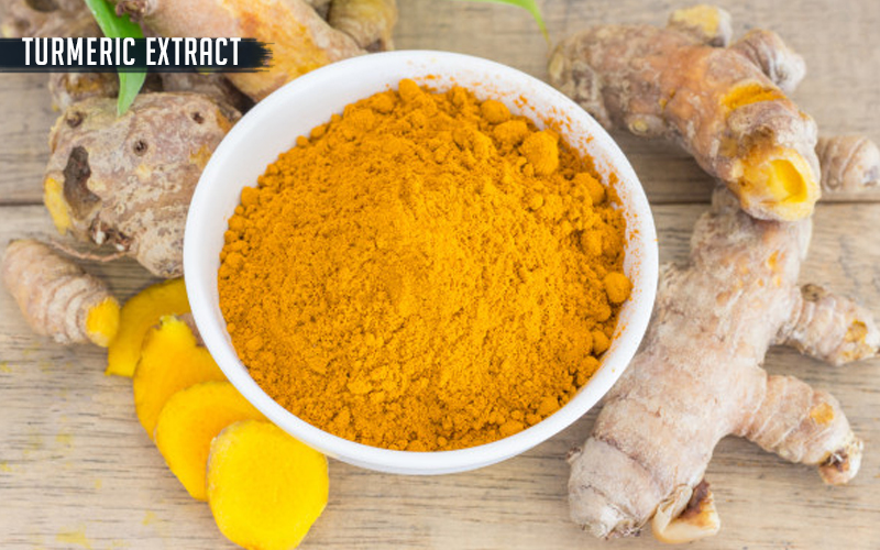 Turmeric Extract