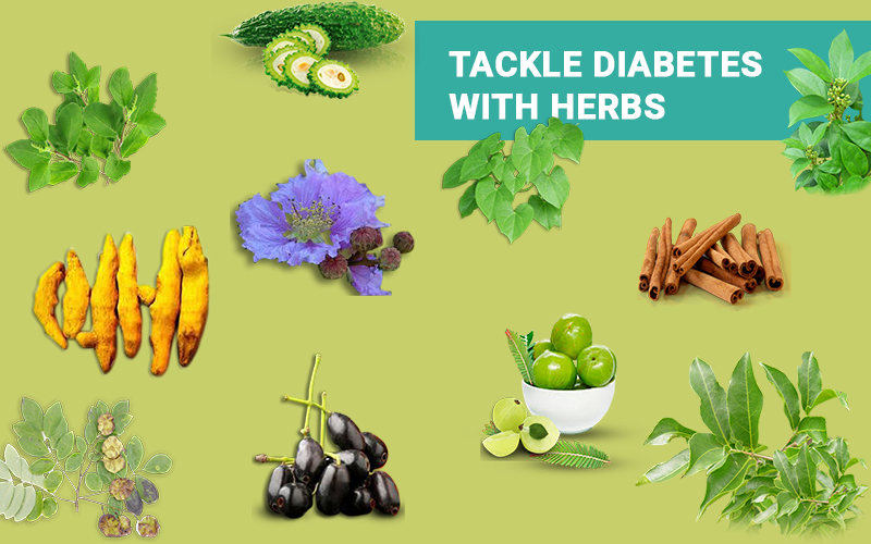 Tackle Diabetes with Herbs Views of Dr BM Hegde on Diabetes