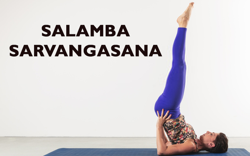 Chair Salamba Sarvangasana (supported shoulder stand on a chair) Benefits  *Calms the brain and helps relieve stress and mild depression