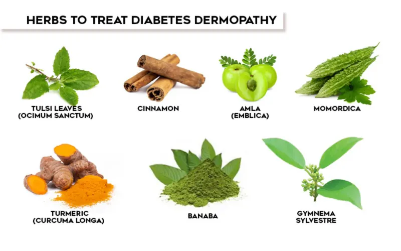 herbs for diabetes
