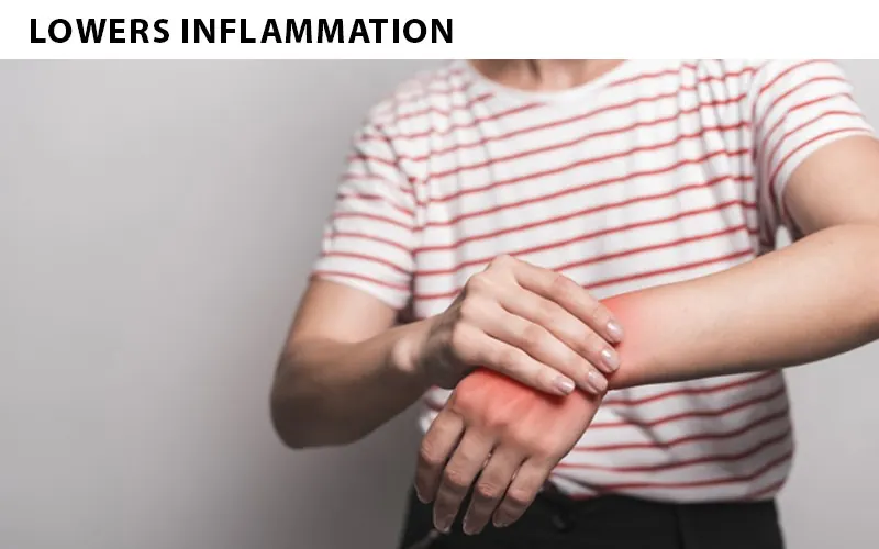 anti inflammatory properties of moringa