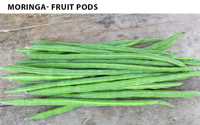 health benefits of moringa seeds