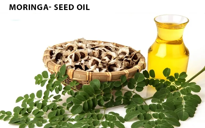moringa seed oil health benefits