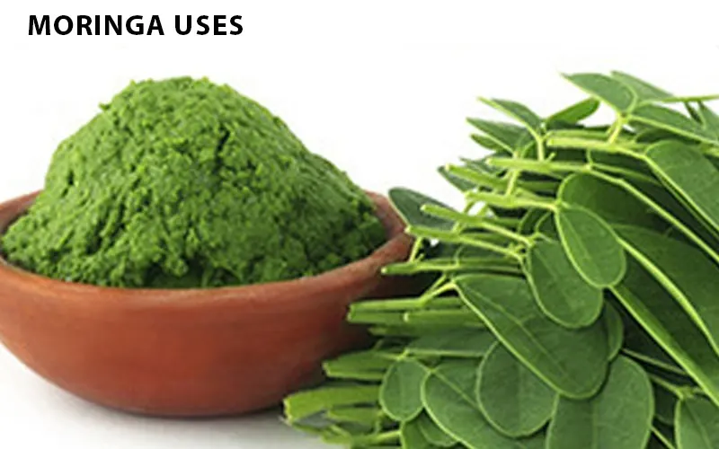 ways to use moringa in daily diet