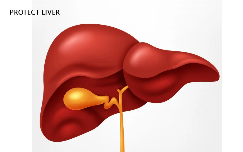 kalonji protects liver