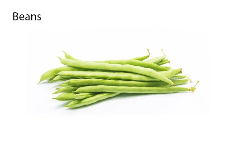 beans lower the blood sugar level