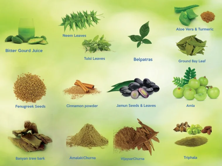herbal remedies for diabetes