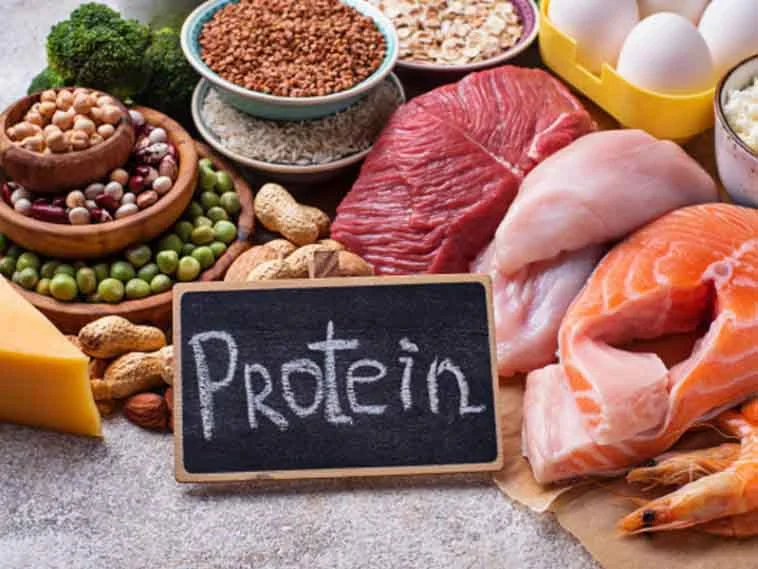 Protein-rich Diet