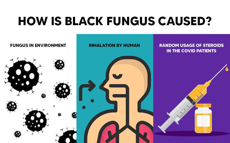 How is Black Fungus Caused?