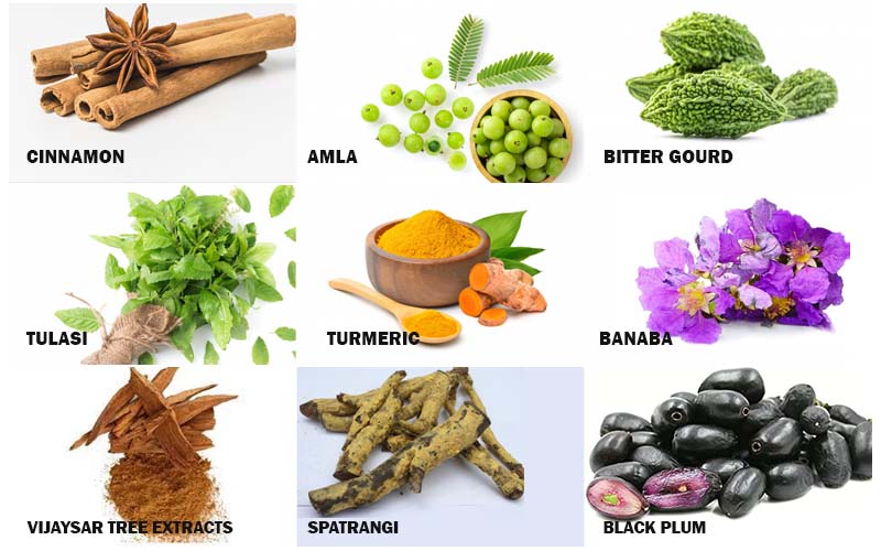 Some of the herbs that you must consume are 