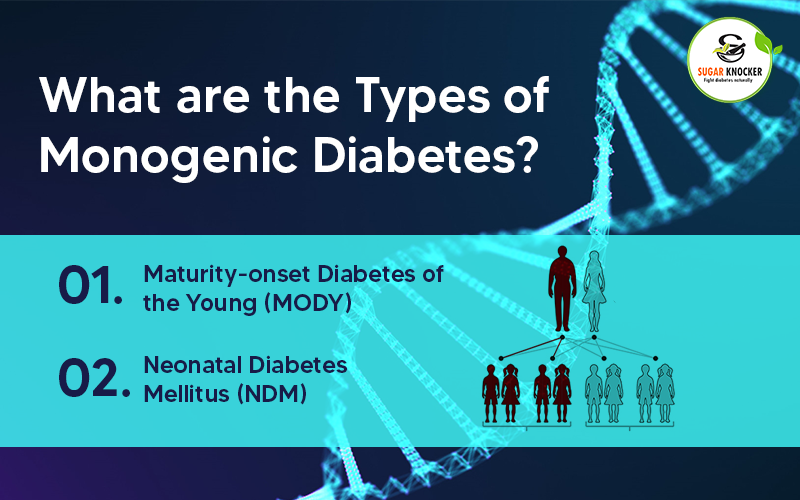What are the Types of Monogenic Diabetes?