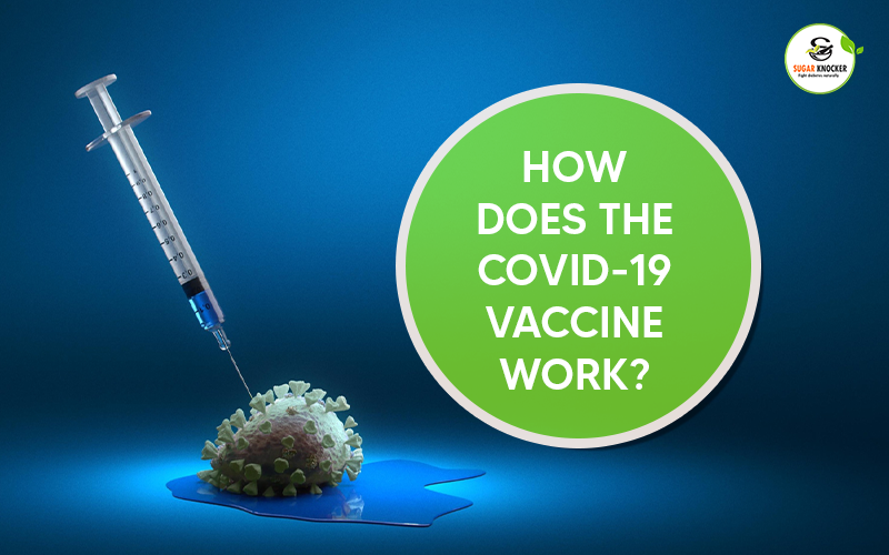 How Does the Covid-19 Vaccine Work?