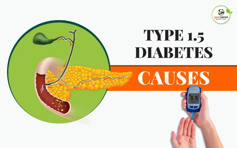 Type 1.5 diabetes causes
