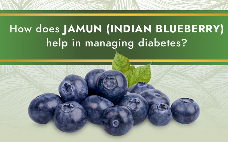How does Jamun (Indian Blueberry) helps in managing diabetes?