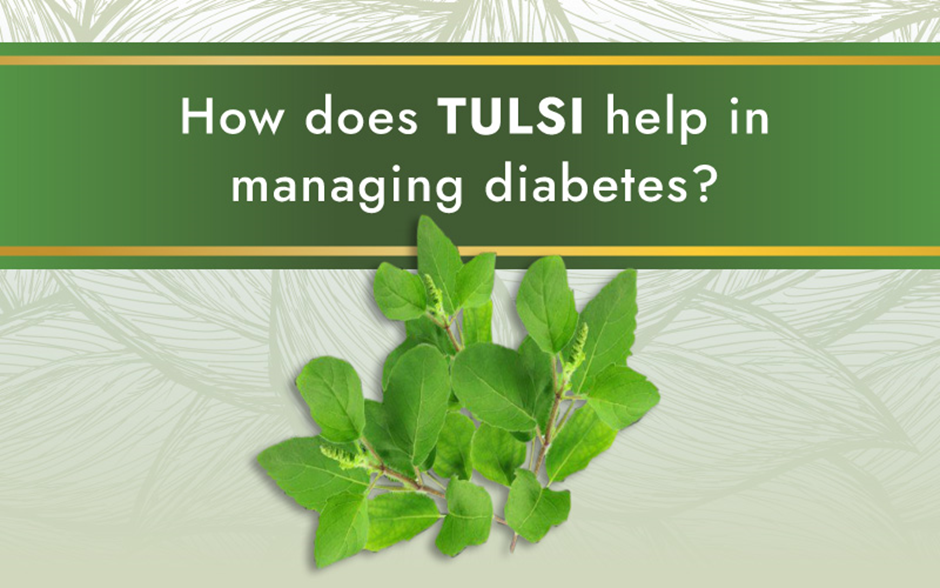 How Tulsi Help in Managing Diabetes?
