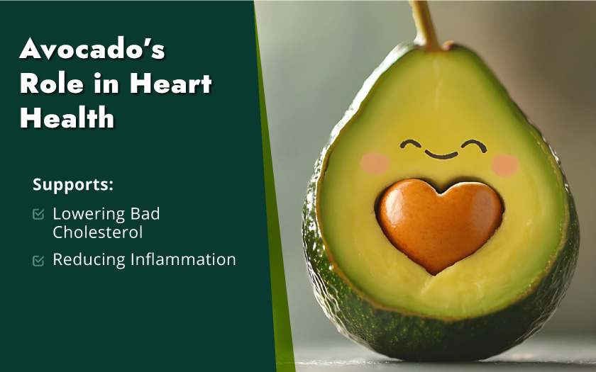 Avocado oil benefits include moisturizing skin, promoting heart health, and enhancing nutrient absorption in meals.