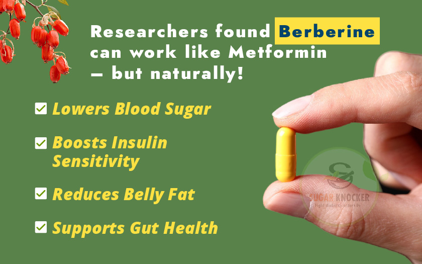 Image illustrating steps for using berberine to aid weight loss, featuring dosage guidelines and dietary tips.

